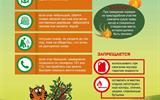 listovki_10 Сухая растительность_10